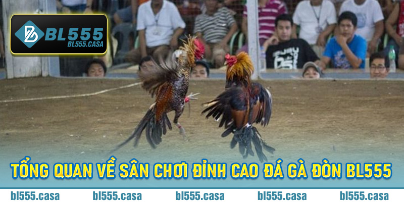 Tổng quan về sân chơi đỉnh cao đá gà đòn BL555