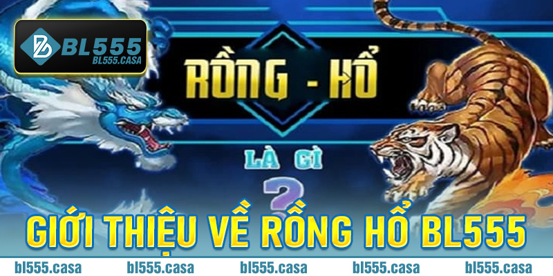 Giới thiệu về Rồng hổ Bl555