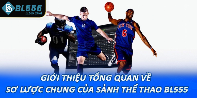 Giới thiệu tổng quan về sơ lược chung của sảnh thể thao bl555