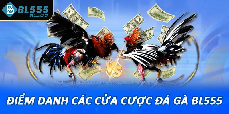 Điểm danh các cửa cược đá gà bl555 vô cùng đặc sắc